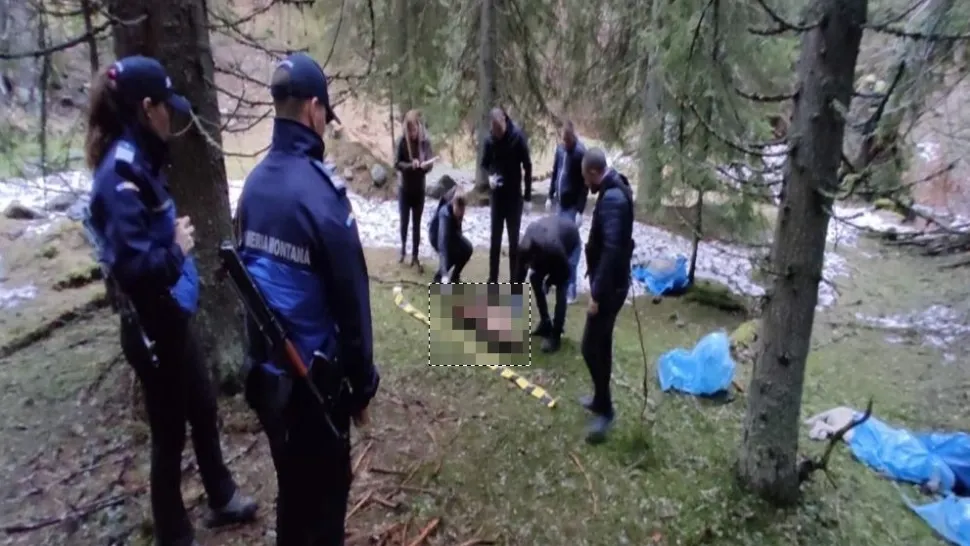 Cadavre câini, găsite în Parcul Naţional Retezat