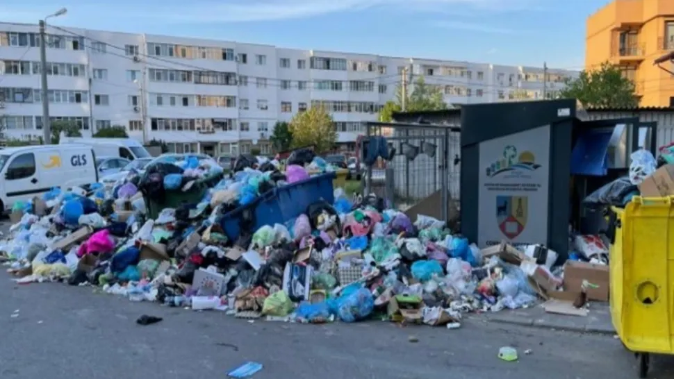 Un primar din România cere urgent stare de ALERTĂ locală din cauza gunoaielor și a focarelor de infecție