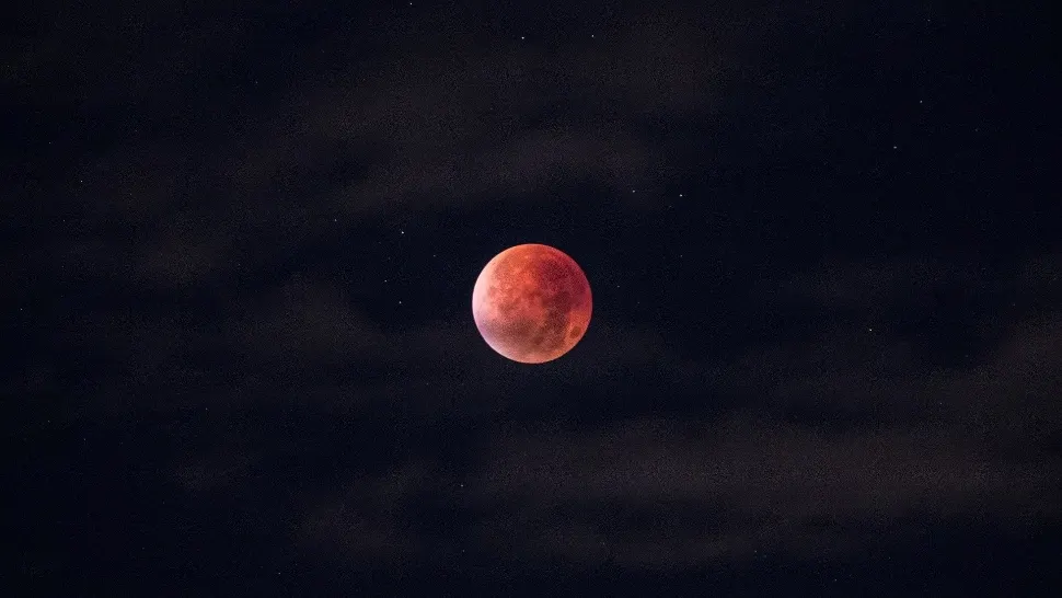Luna rosiatica - sursa foto: pixabay