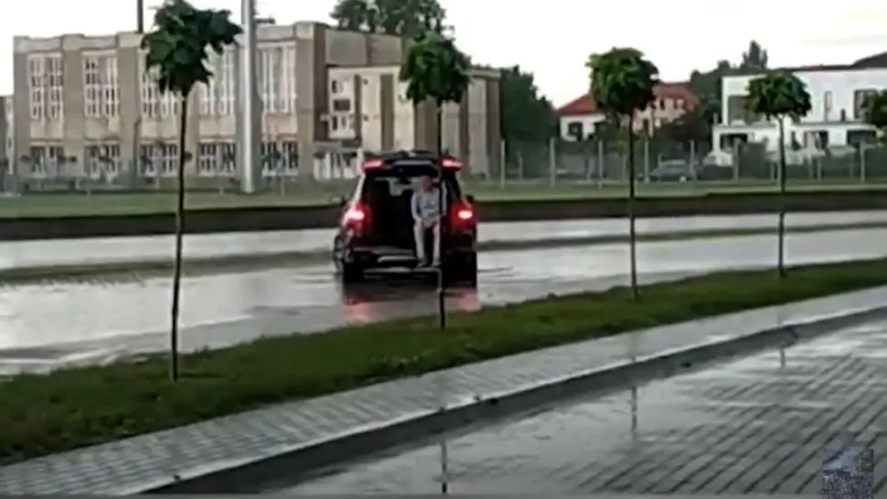 Consilier în portbagaj