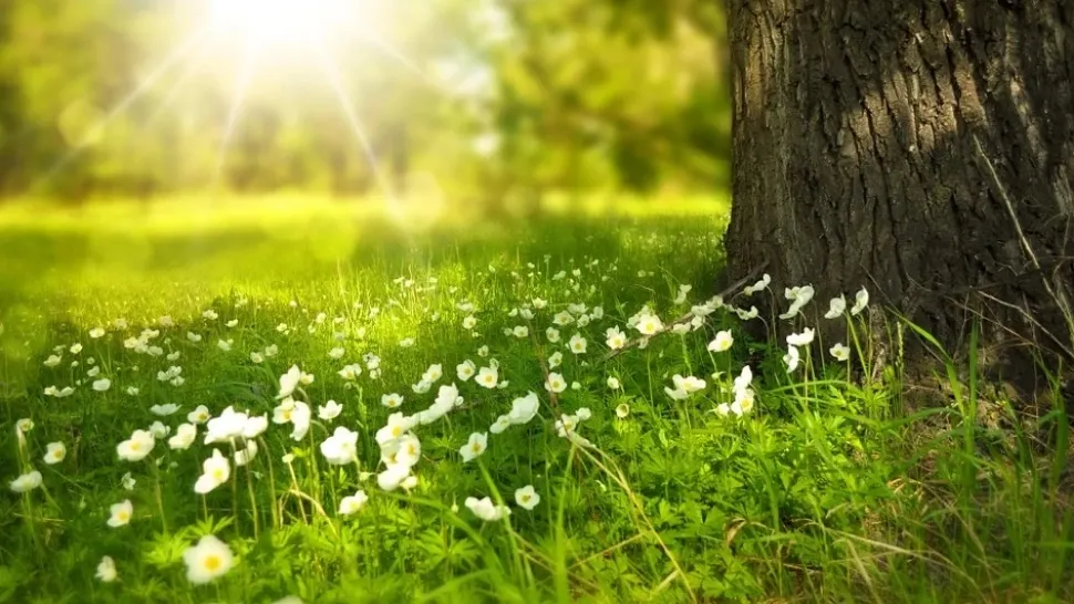Prognoza meteo mai