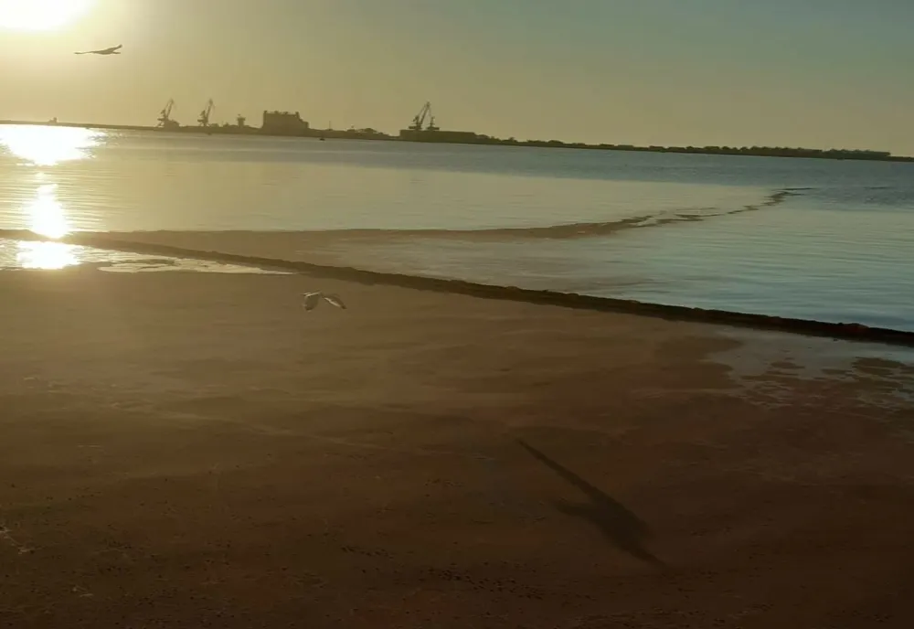 Poluare Șantier Naval Damen Mangalia