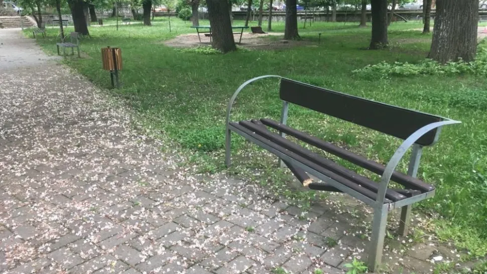 Banca ruptă in parc