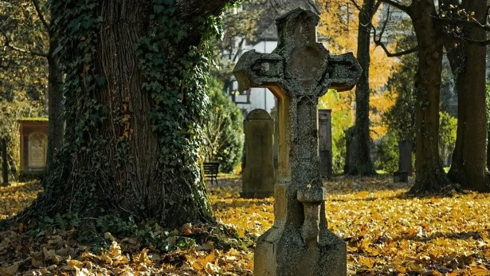 Morminte profanate de urs / Foto: Arhivă