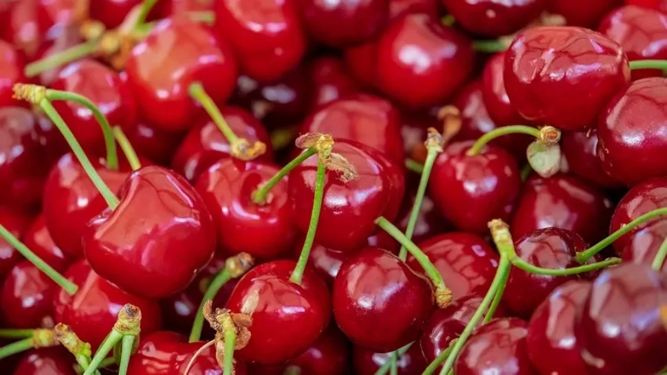 Cireșele sunt fructe foarte sărace în calorii