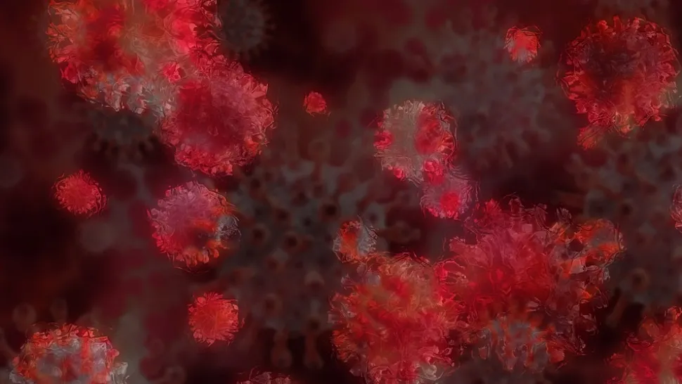 Coronavirus