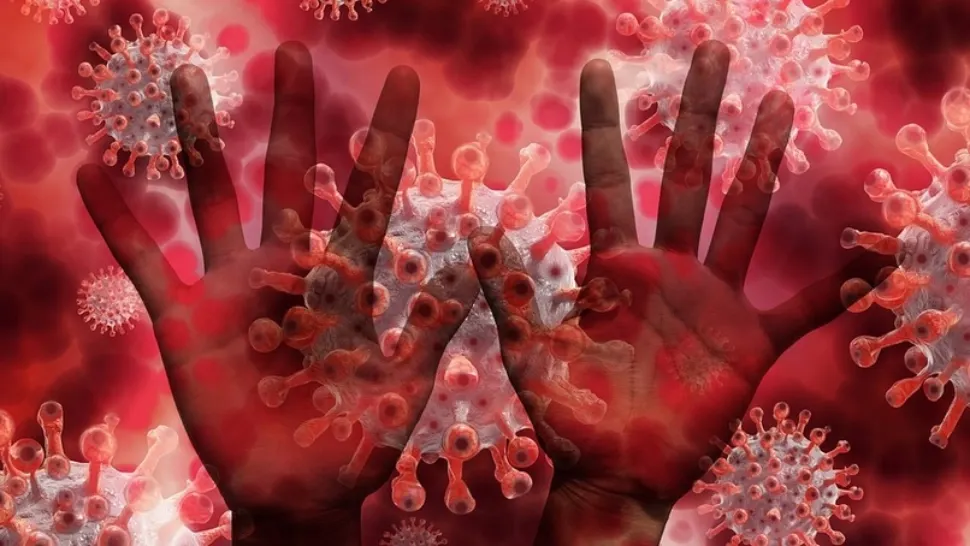 Bilanț coronavirus 14 iunie