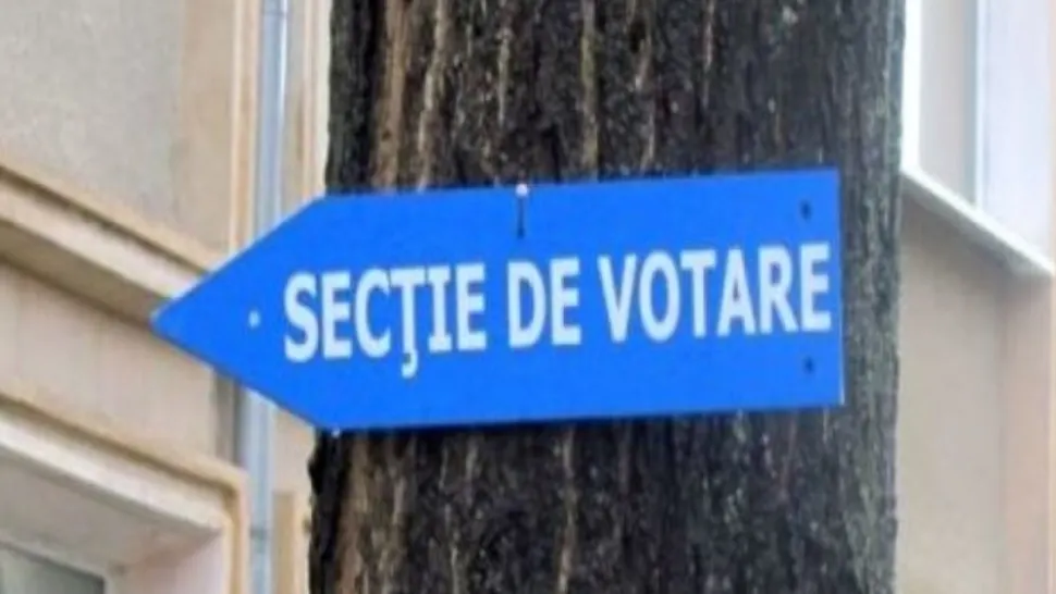 Alegeri parțiale / Inquam Photos
