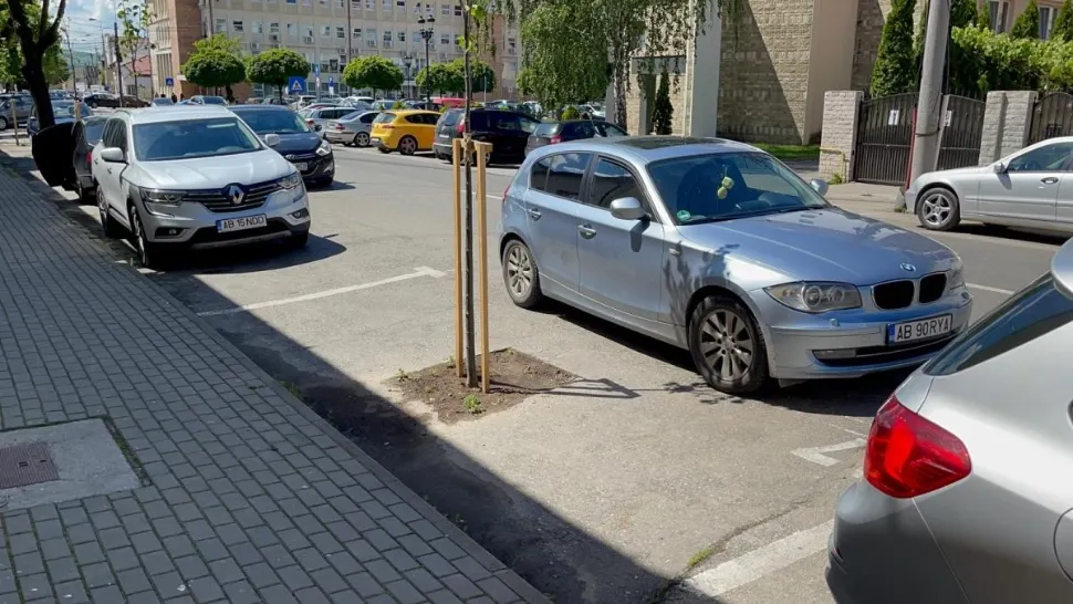 Mai mulți copaci au fost plantați pe locurile de parcare din centrul Municipiului Alba Iulia / Foto: alba24.ro