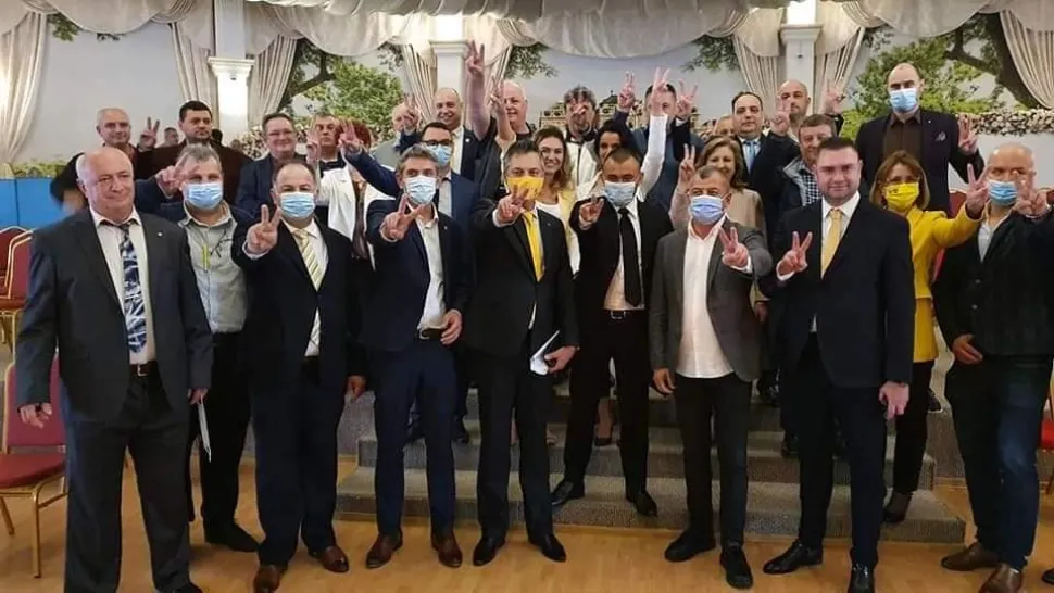 Alegeri interne PNL