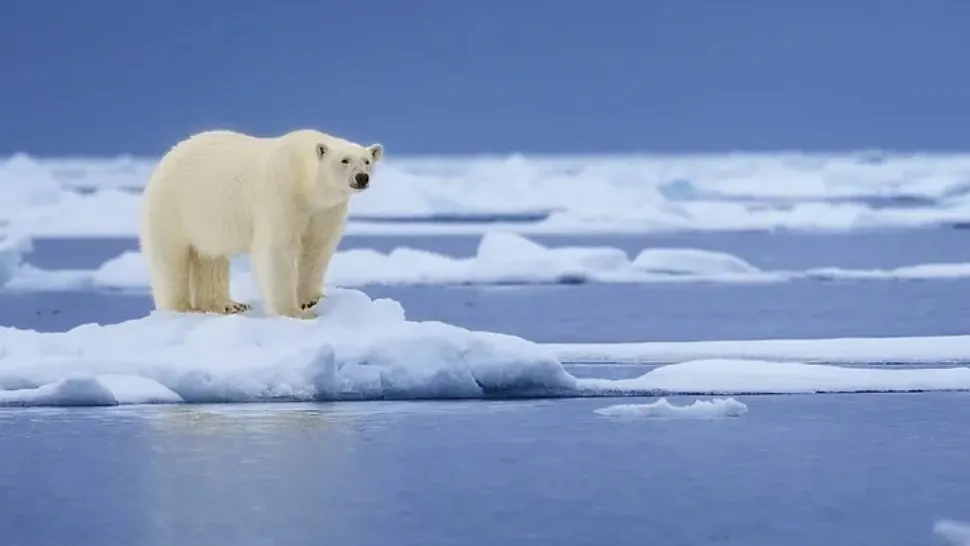 Căldură SUFOCANTĂ la Cercul Polar arctic: Temperatură-record în prima zi de vară