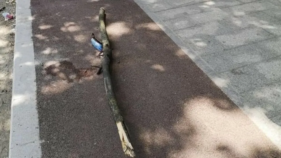 Sursa foto: Realitatea de Galați