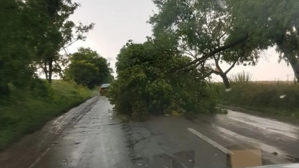 Efecte meteo pe o magistrală feroviară și pe două drumuri