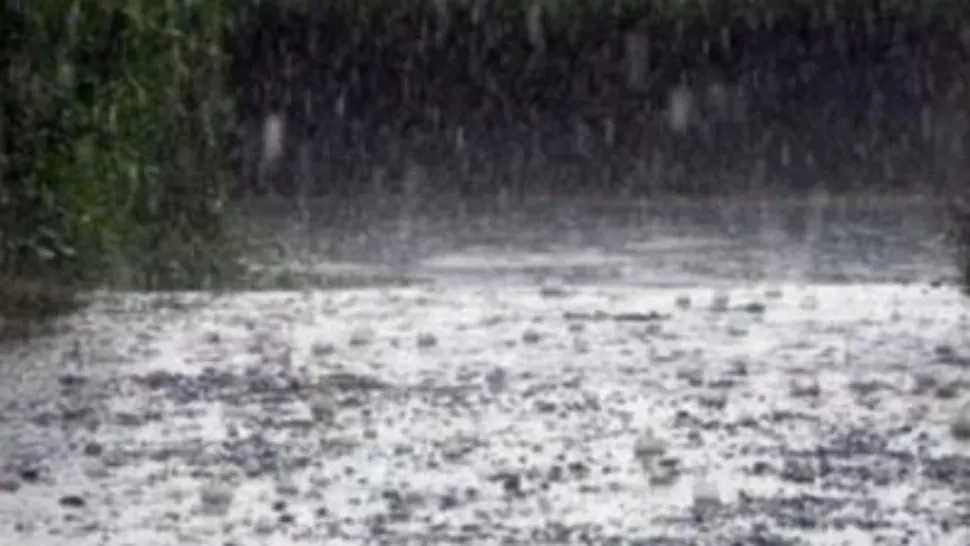 Alertă meteo ploi torențiale