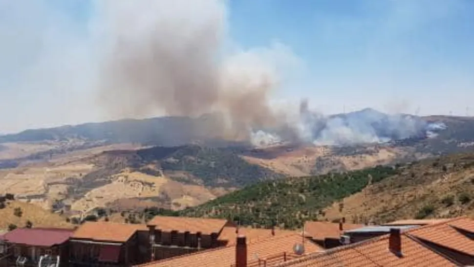 Incendii de vegetație în Sicilia