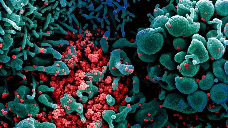 Primele noi focare de Covid din Galați sunt la două familii. Foto/Profimedia