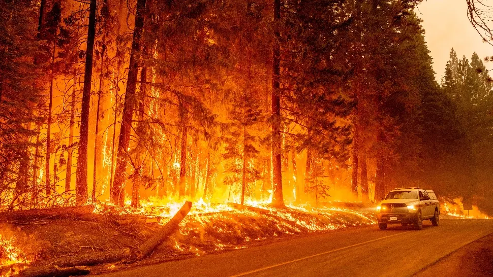 Flăcările au devenit ameninţătoare, în ciuda ameliorării condiţiilor meteorologice / Foto: Profi Media