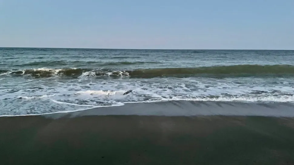 Descoperire macabră pe plaja Neversea, din Constanța