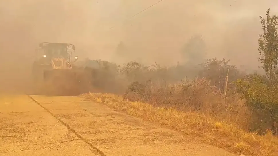 Incendiu vegetație Mehedinți / Captură foto