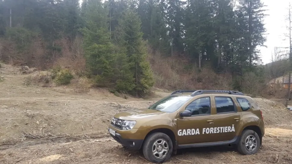 Masina Gărzii Forestiere Suceava