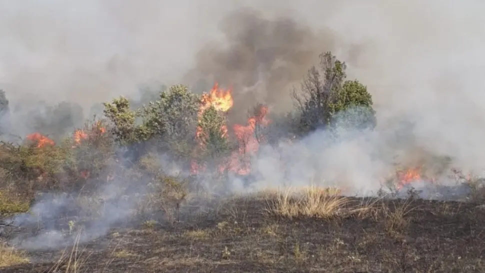 Un bărbat din judeţul Arad a fost amendat cu 10.000 de lei