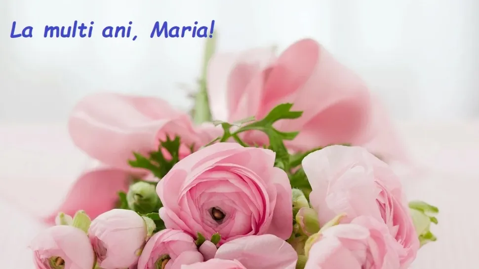 Sfanta Maria - Nașterea Maicii Domnului 