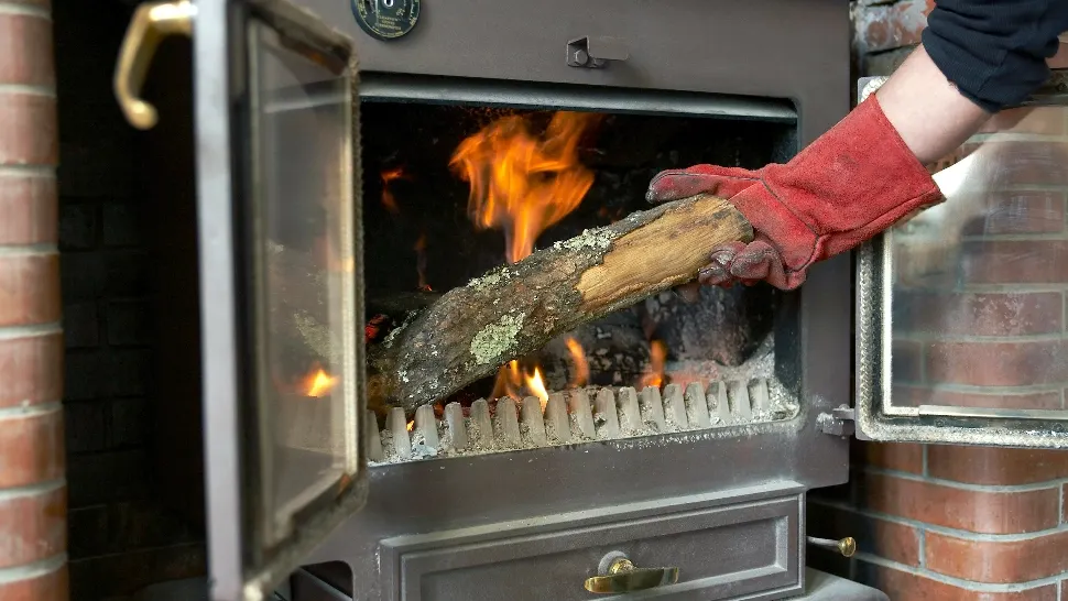 TVA de 5% pentru lemnele de foc. Foto/Profimedia