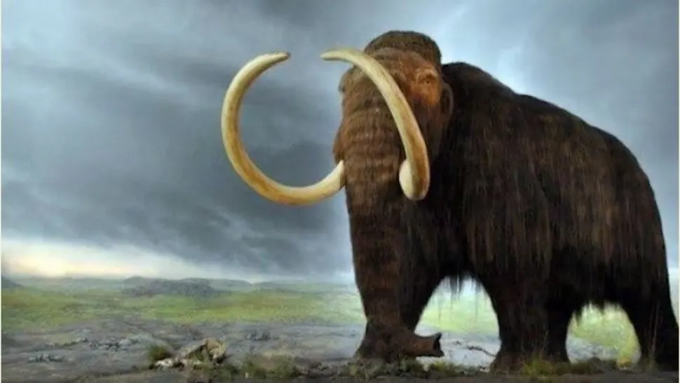 Experiment genetic, mamut readus la viață