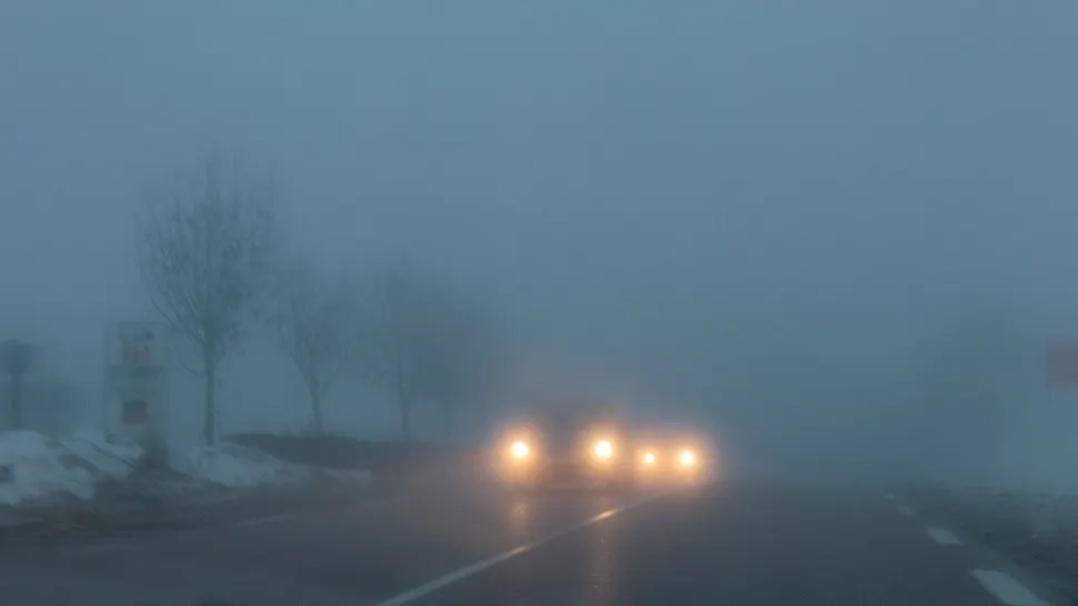 God galben de ceață în mai multe județe. Foto/Profimedia
