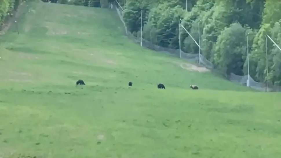 Accident feroviar în jud Vâlcea