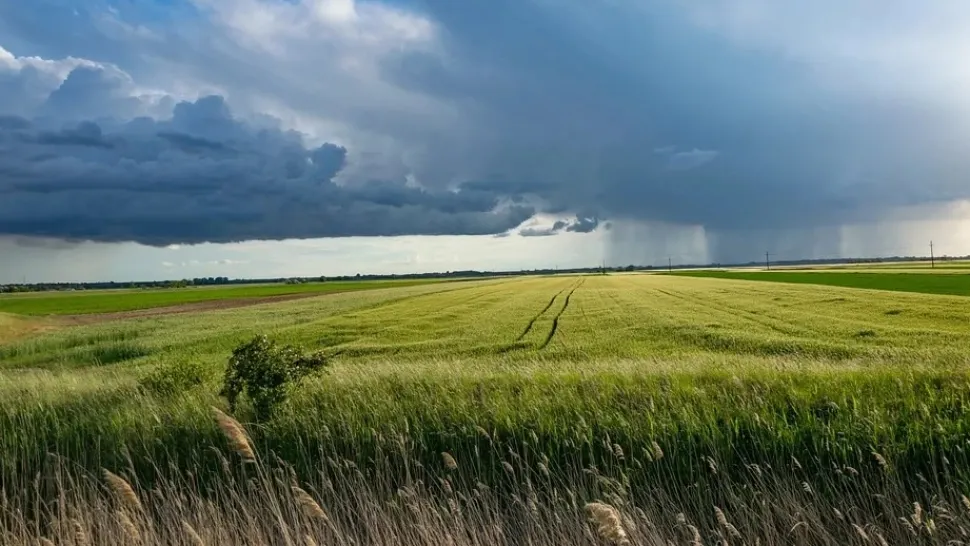 Informare meteo de vânt puternic