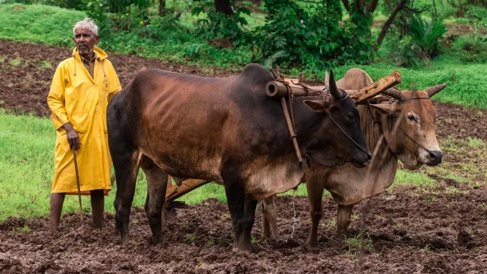 Agricultor, India / Profimedia