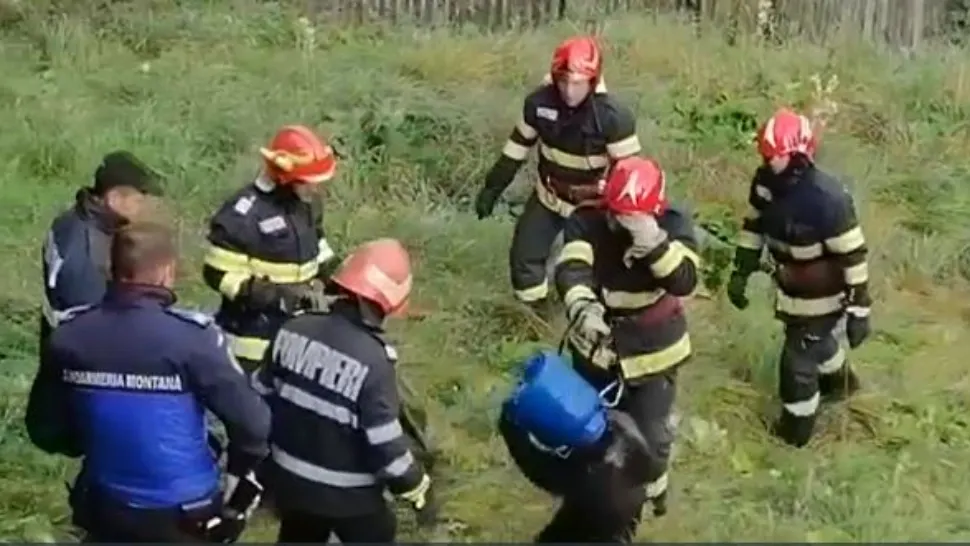 Pofticios şi curios, un pui de urs a băgat capul într-un butoi, să vadă ce ţin gospodarii. Captură video