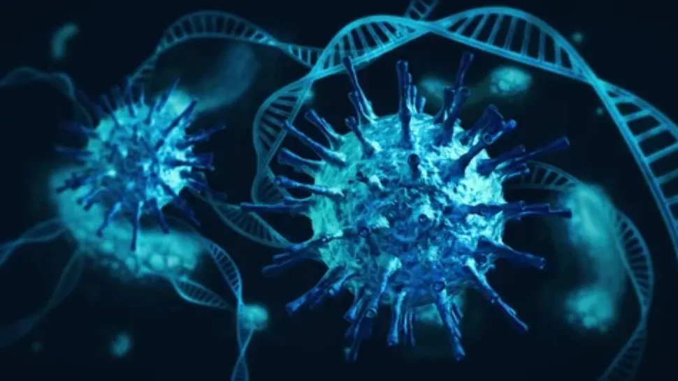 Coronavirus
