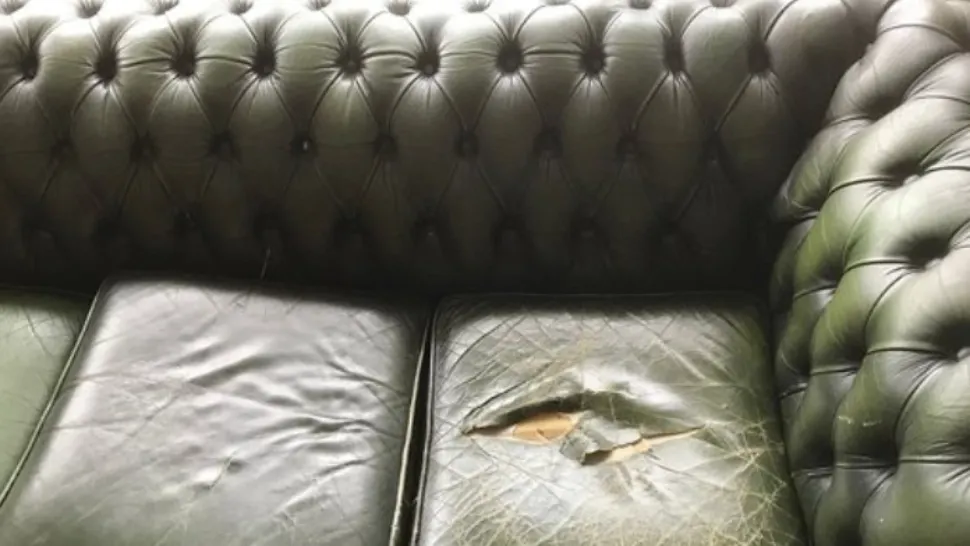Descoperire fabuloasă într-o canapea luată de la un târg de vechituri