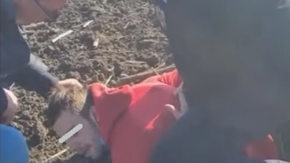 Infractorul a fost prins pe câmp (captură video EUROPOL)