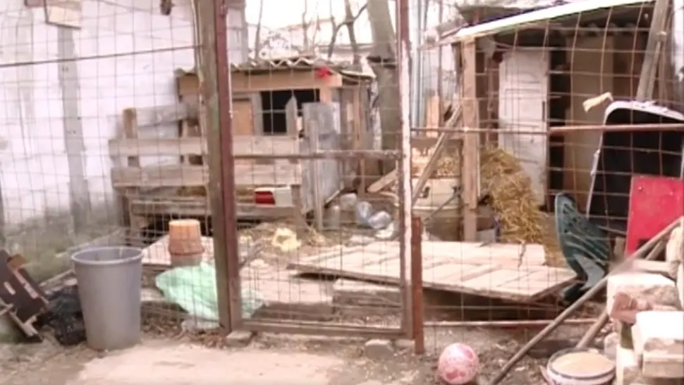 Sursa foto: Captură video
