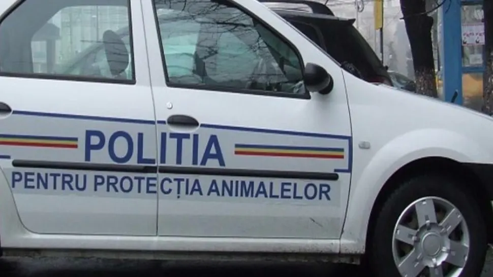 Protecție animalelor a intervenit /Foto: arhiva
