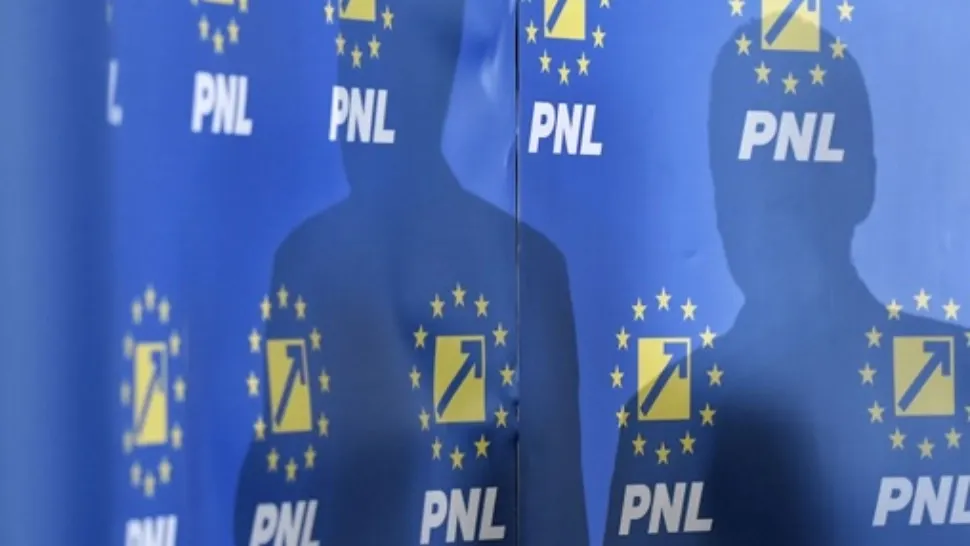 Șase parlamentari PNL și-au depus demisiile din grupul liberal. Foto/Arhivă