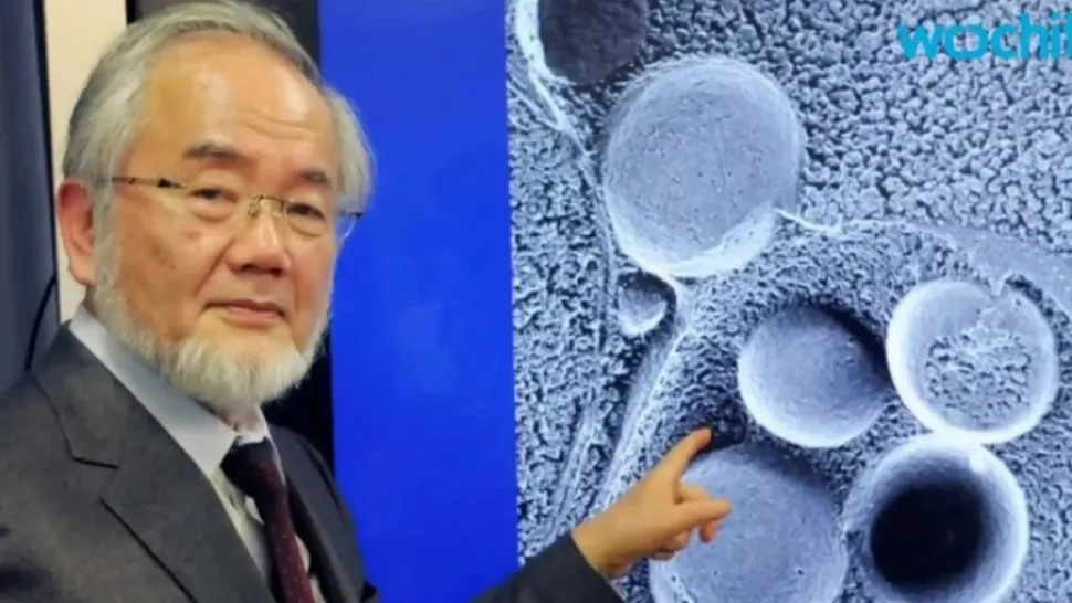Dieta japonezului laureat al premiului Nobel: scazi rapid în greutate şi ajută la regenerarea celulară