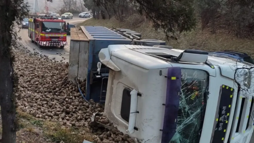 Trafic BLOCAT între Sighișoara și Târgu Mureș - Un TIR plin cu sfeclă s-a răsturnat