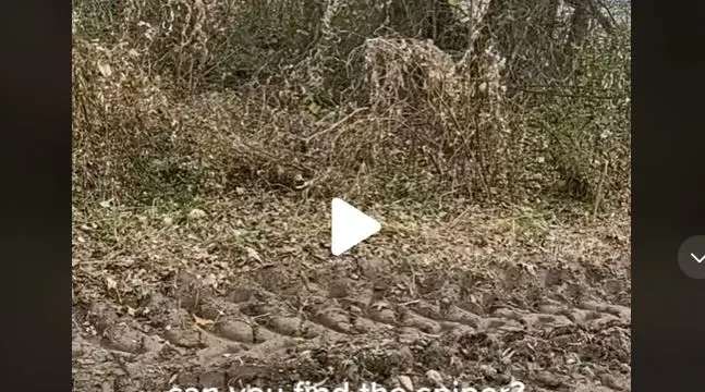 Unde este camuflat militarul
