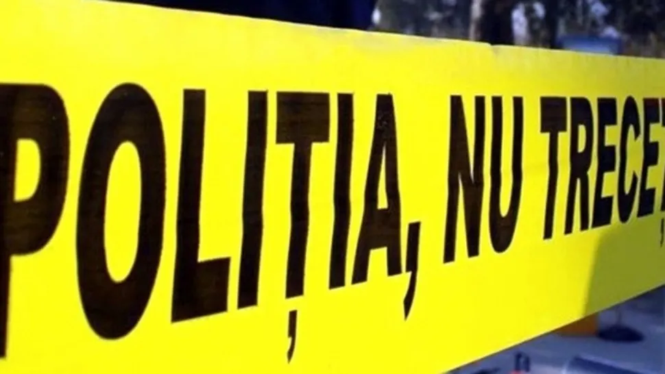 Un bărbat în stare de ebrietate a sărit gardul la muzeu
