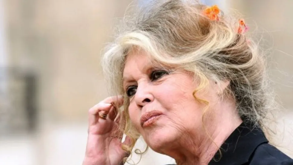 Bridgitte Bardot FOTO: Profimedia images