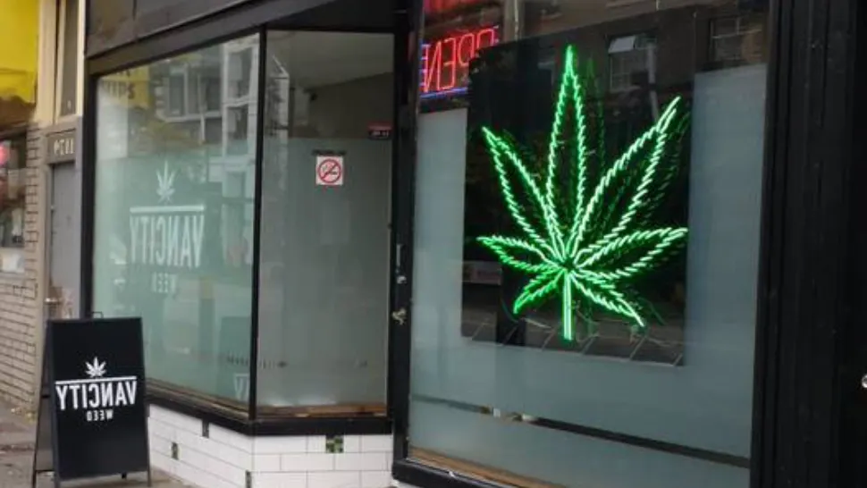 Magazin Cannabis Quebec FOTO: Profimedia
