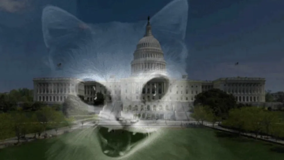 Demon Cat (paranormalguide)