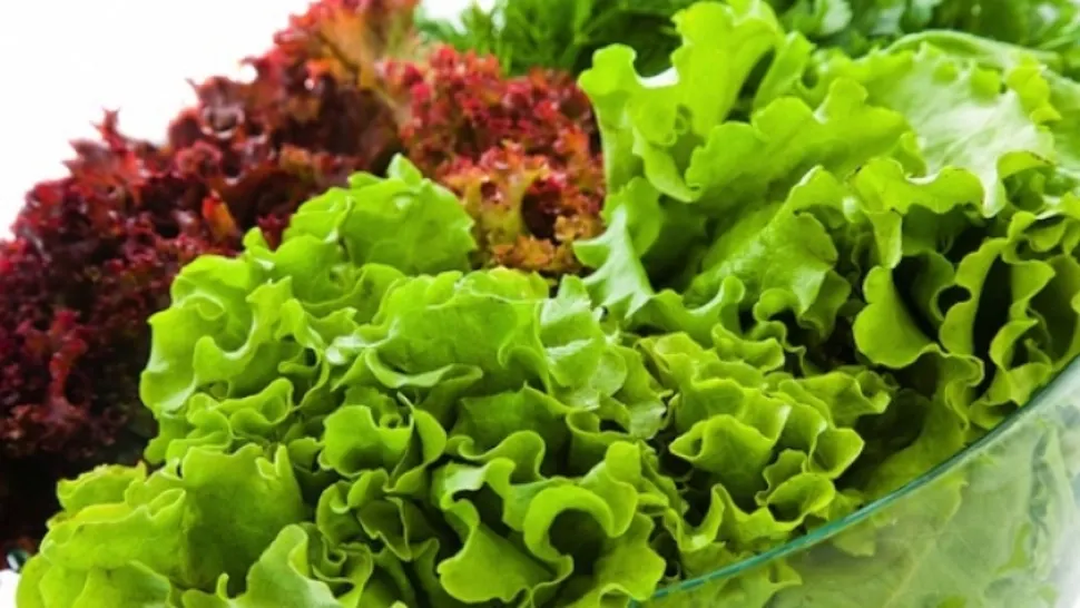 Salată creață