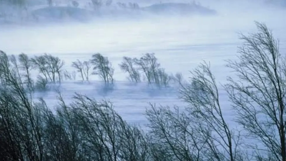 Temperaturi