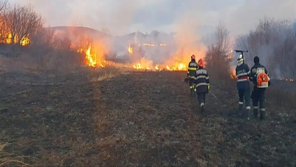 Incendiu de vegetație