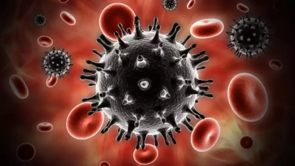 Tulpini canceroase